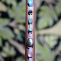 Reiki chakra healing stick. Image 18